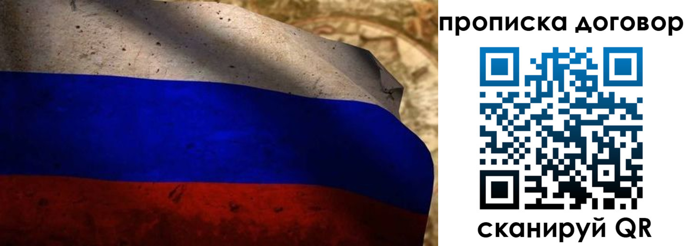 прописка для школы в Химках